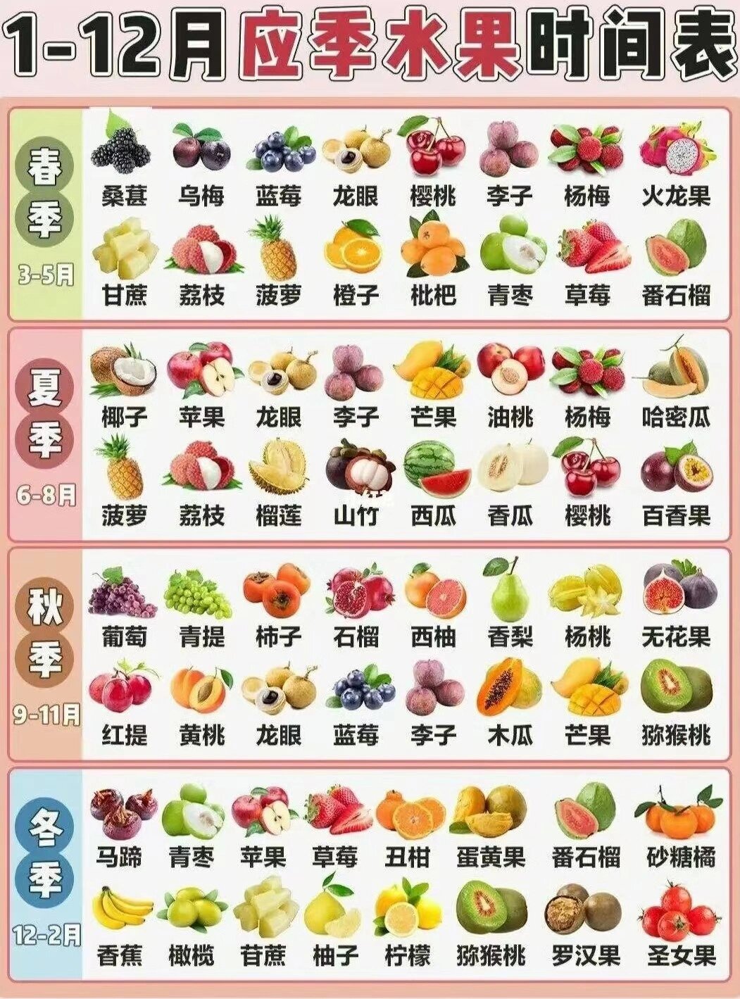 水果大集合