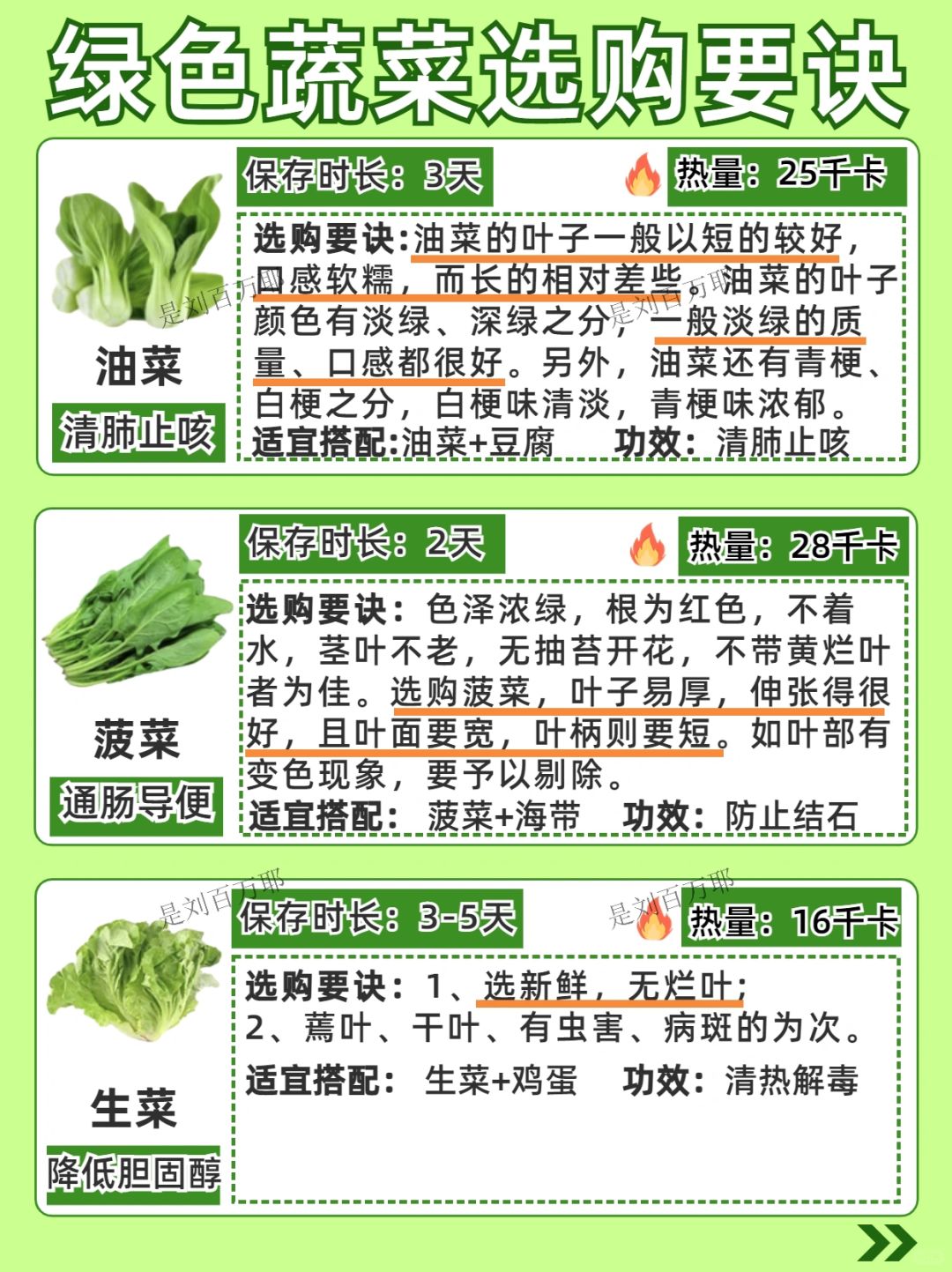 蔬菜大集合
